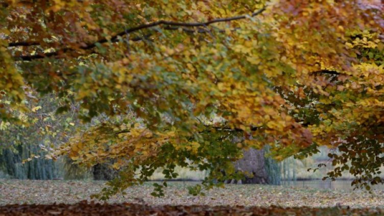 Снимка: Reuters