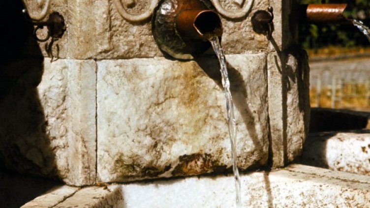 Архив: Булфото