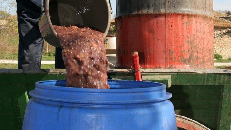 Снимка: архив, Булфото