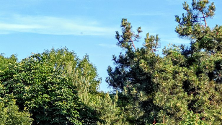 Снимка: архив, БГНЕС