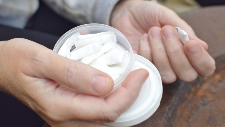 Снимка: shutterstock