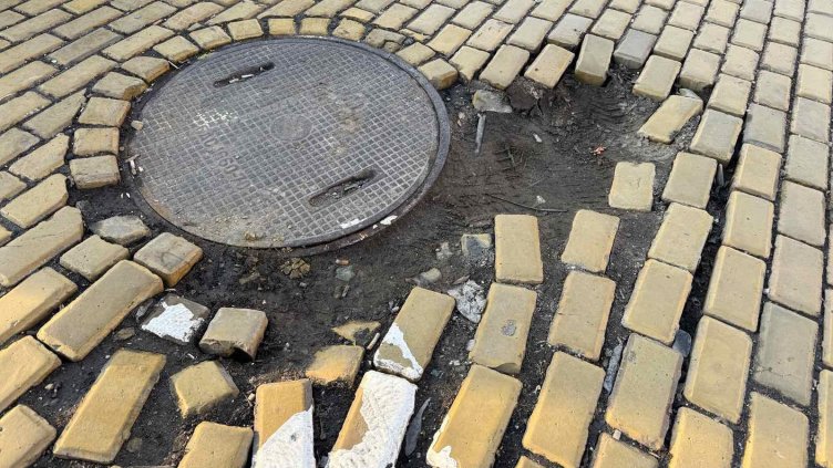 Снимки: БГНЕС