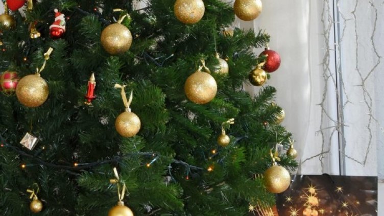 Снимка: архив, БулФото