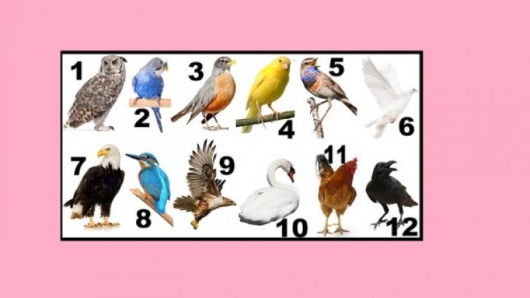 Снимка: pinterest