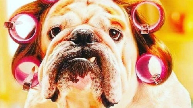 Снимка: Instagram