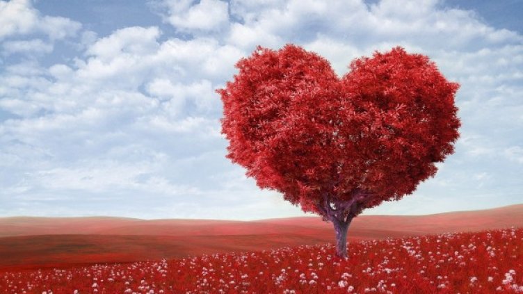 Снимка: pexels