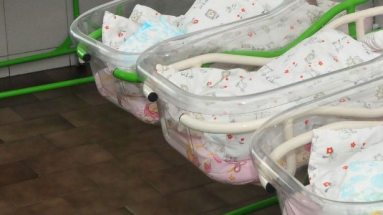 Архив: Булфото