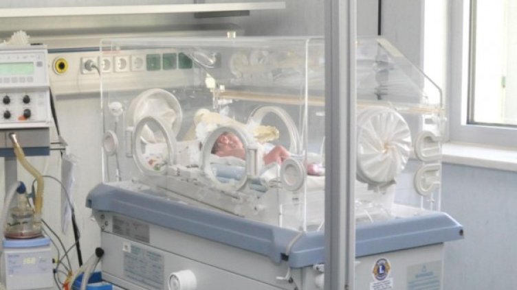 Снимка: Булфото