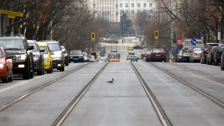 Снимка: архив "Булфото"