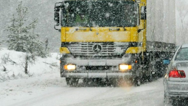 Снимка: Архив, Булфото