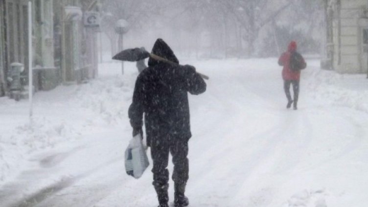 Снимка: Булфото, архив