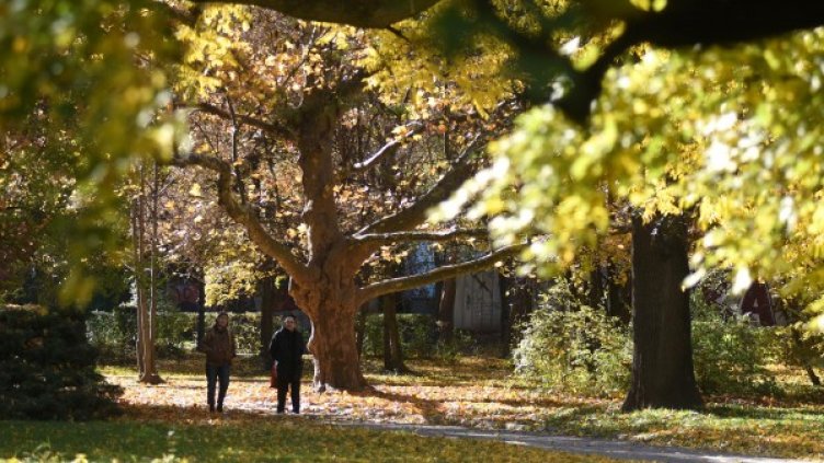 Снимка: архив, Булфото