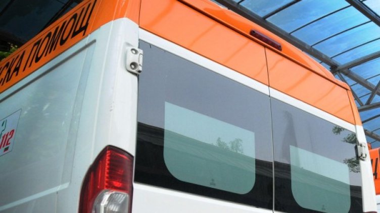 Снимка: Архив, Булфото