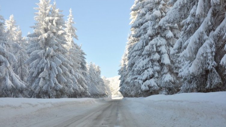 Снимка: архив, БТА