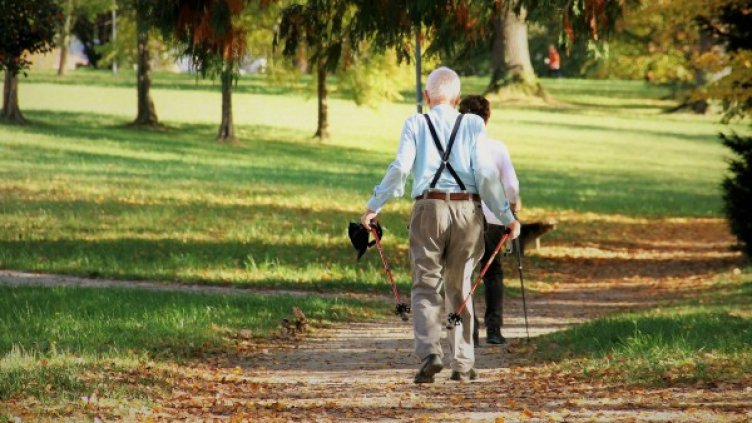 снимка: Pixabay