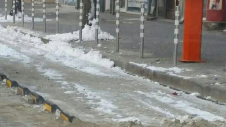 Снимка: "Дарик"