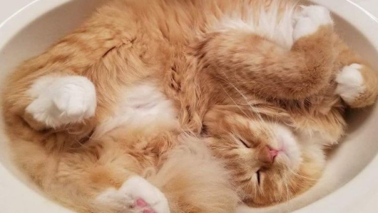 Снимка: Instagram