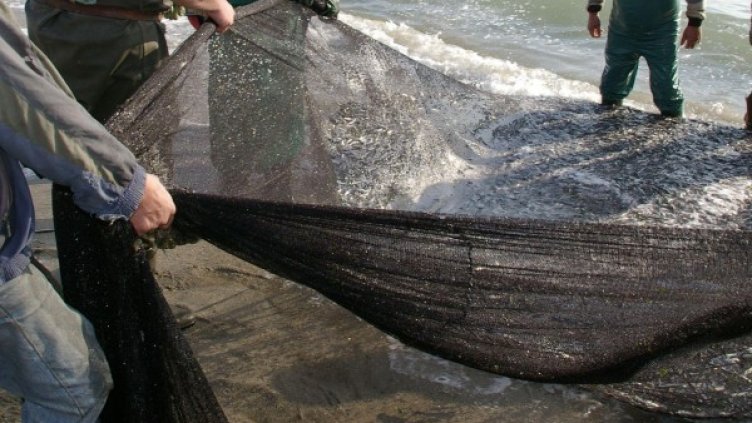 Снимка: Булфото, архив