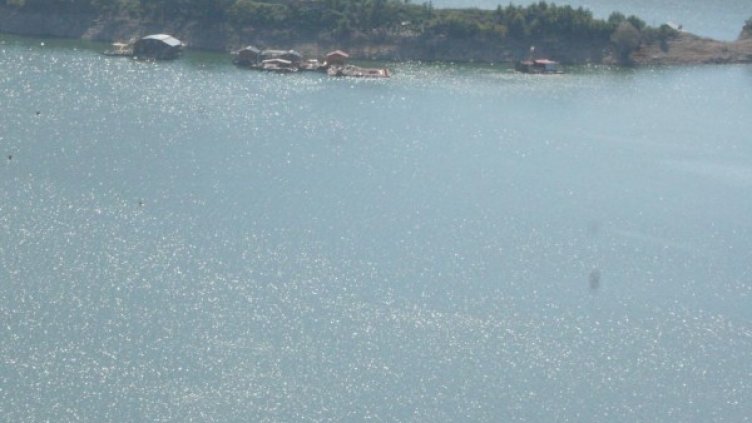 Архив: Булфото