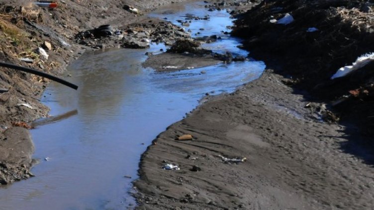 Снимка: архив Bulphoto