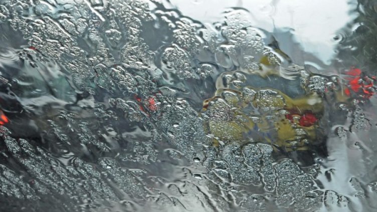 Снимка: архив, БулФото