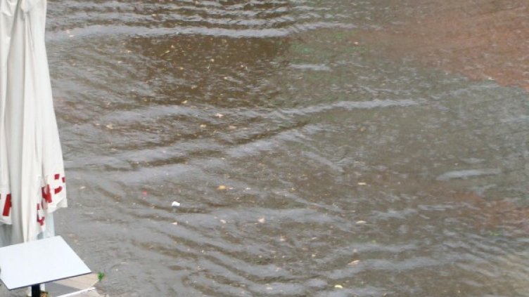 Снимка: Булфото