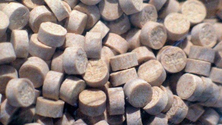 Снимка: Архив, Булфото