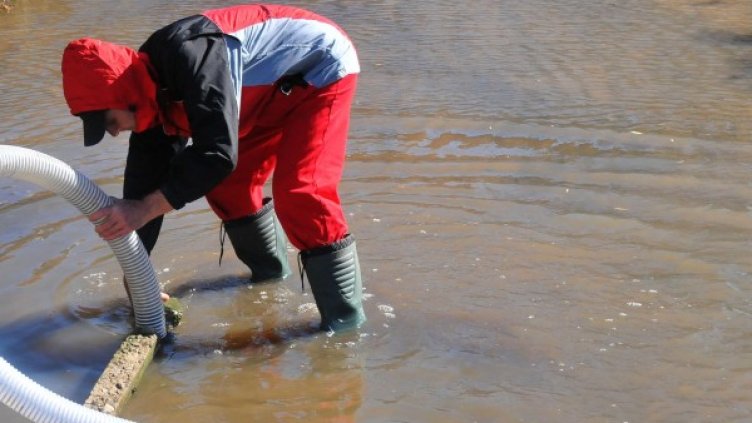 Снимка: архив "Булфото"