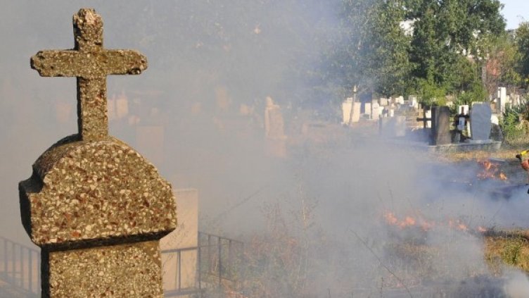 Снимка: архив "Булфото"