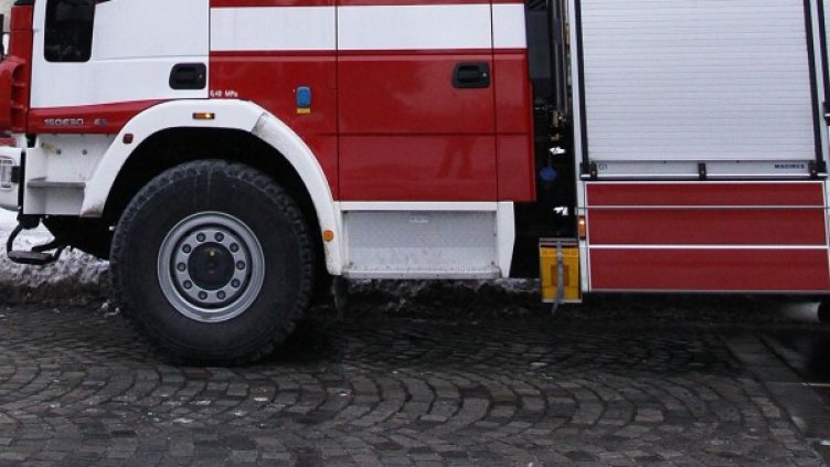 Снимка: Архив, Булфото