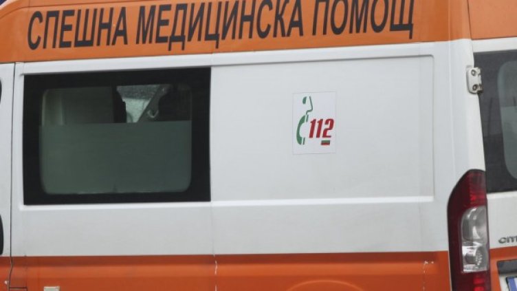 Снимка: Архив, Булфото