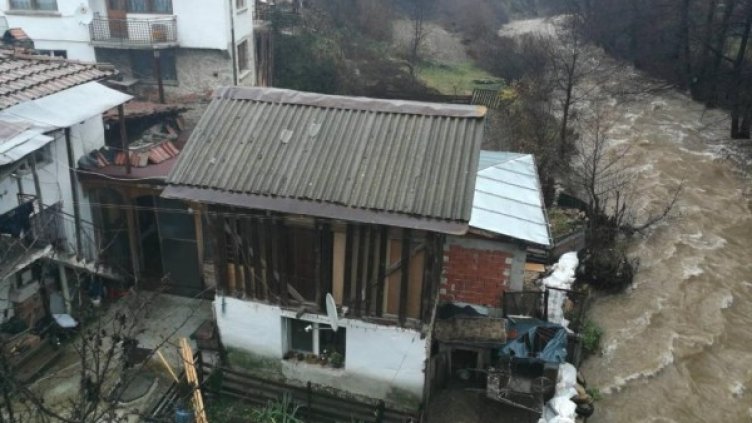 Снимка: Дарик