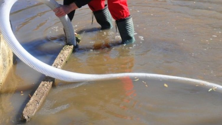 Снимка: архив, Булфото