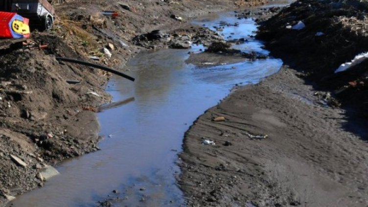 Снимка: архив, Булфото