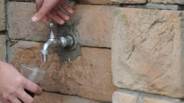 Архив: Булфото