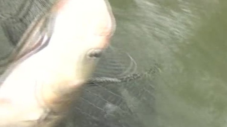 Снимка: Bulgaria ON AIR