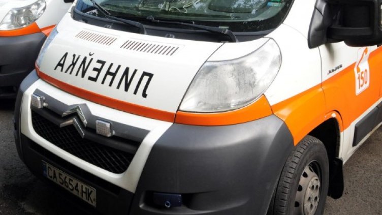 Снимка: Булфото, архив