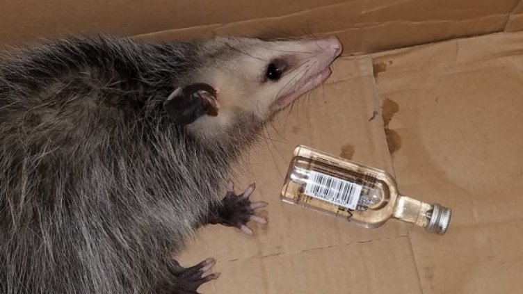 Снимка: Facebook