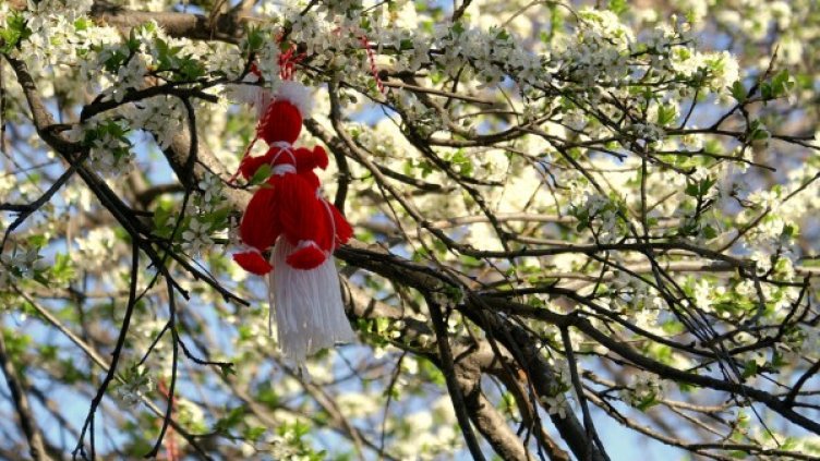 Снимка: Visualhunt