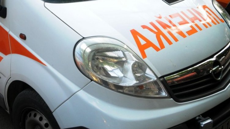 Снимка: Архив, Булфото