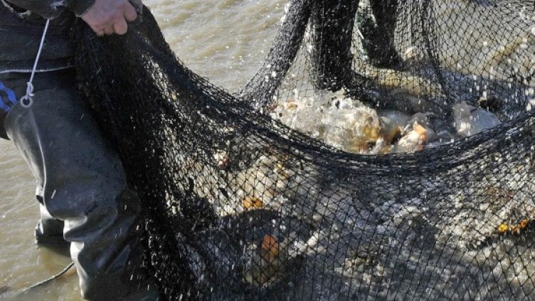 Снимка: Архив, Булфото