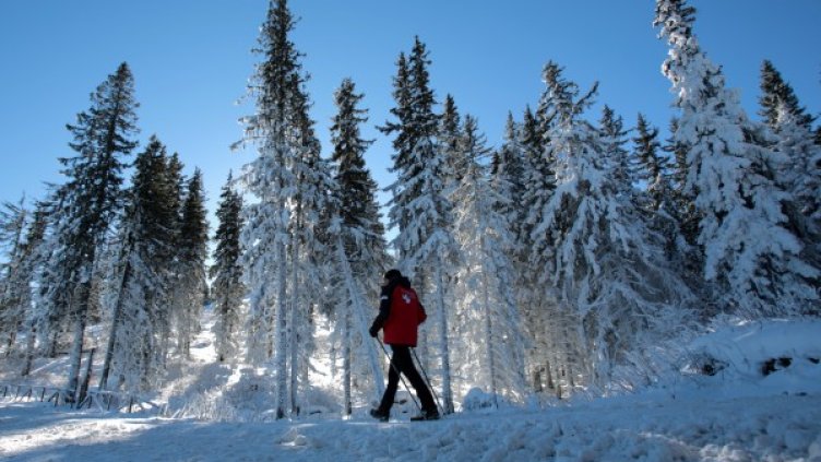 Снимка: архив, БТА