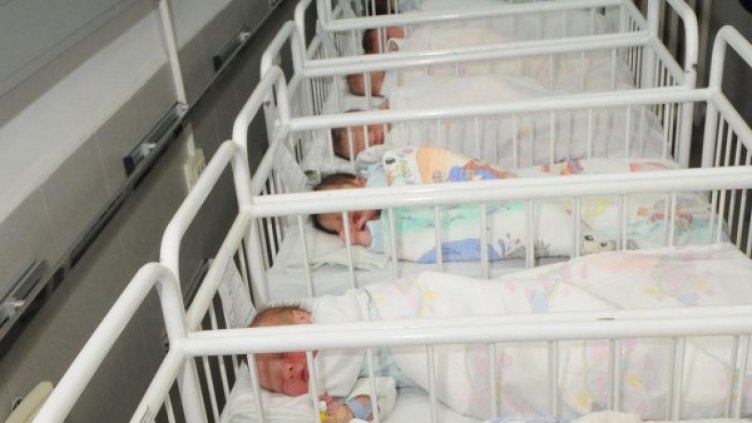 Снимка: Булфото, архив