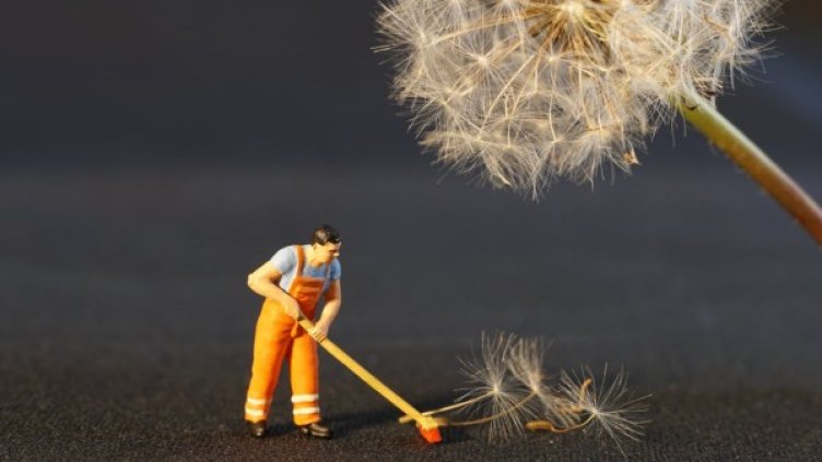 Снимка: pexels.com