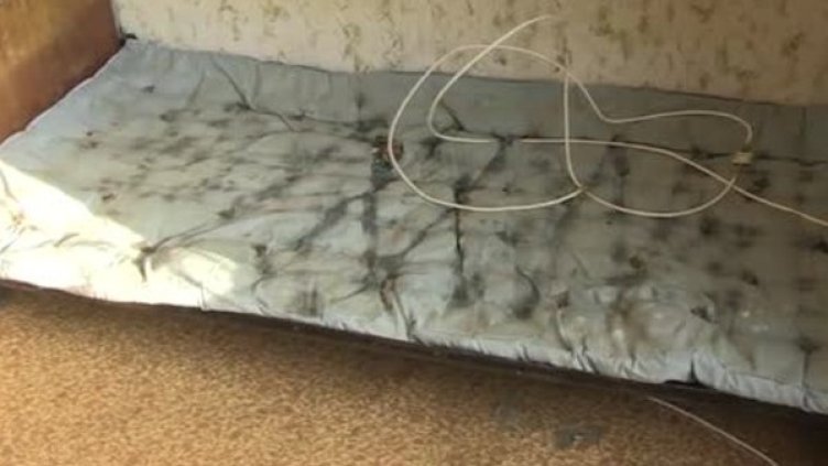 Снимка: Bulgaria ON AIR