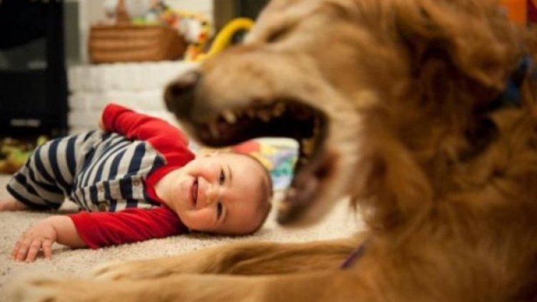 Без грам Photoshop: Умение, правилният ракурс &ndash; уникални кадри