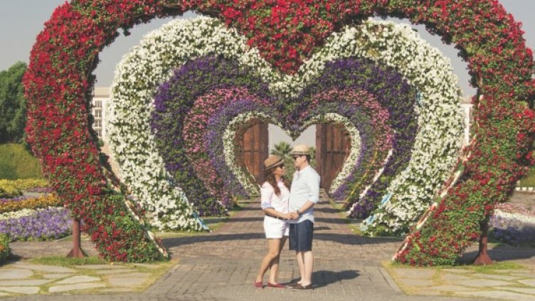 Снимка: pexels