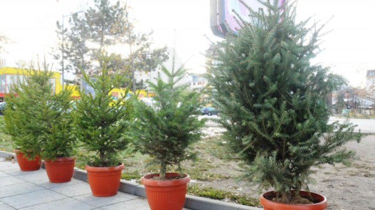 Архив: Булфото