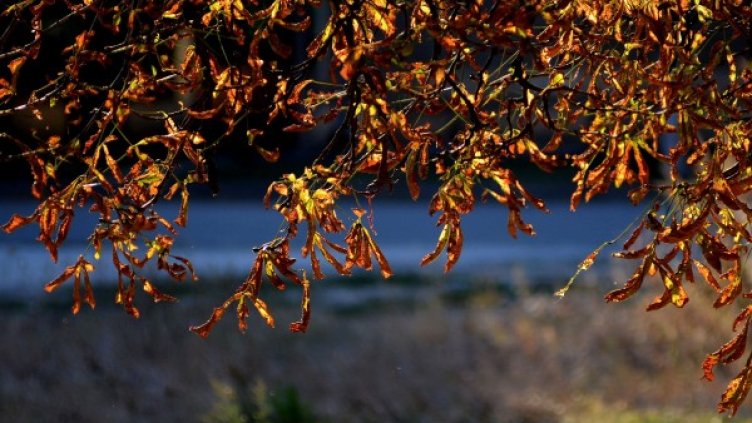 Снимка: БТА, архив