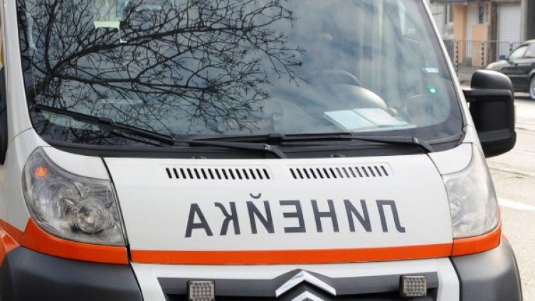 Снимка: Булфото, архив